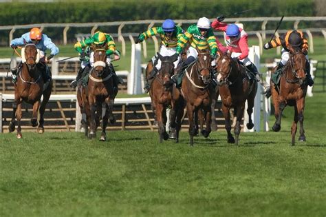 grand national finishers
